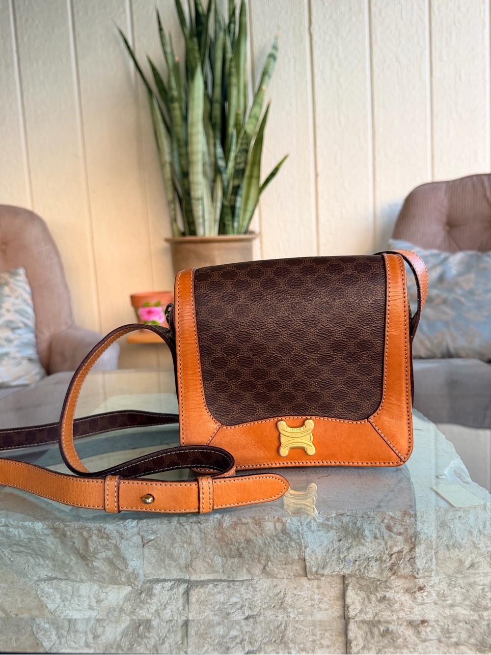 Celine Triomphe Macadam Mini Crossbody